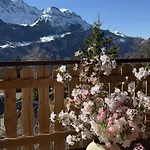 Montana Mit Bergblick *
