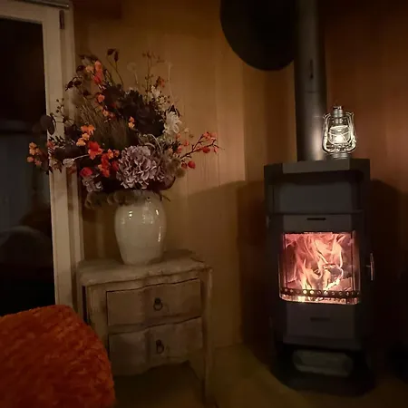 Montana Mit Bergblick Brunig Pass