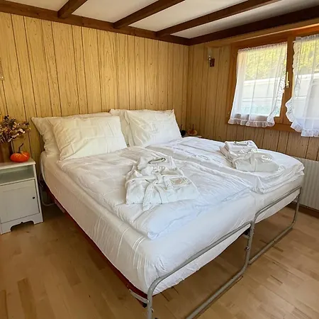 Montana Mit Bergblick * Brunig Pass