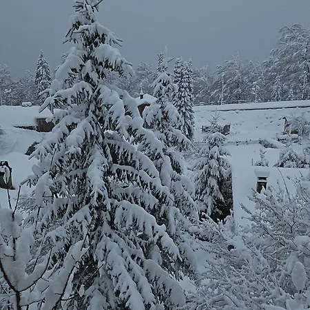 Montana Mit Bergblick *