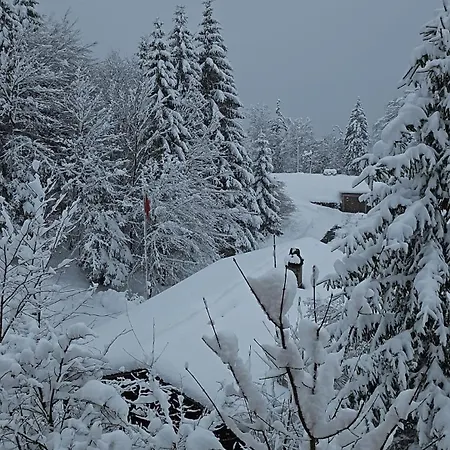 Montana Mit Bergblick