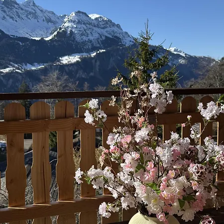 Montana Mit Bergblick *