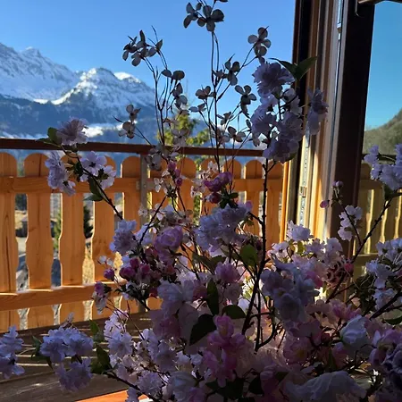 Montana Mit Bergblick * Brunig Pass