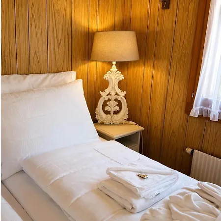 Montana Mit Bergblick Brunig Pass