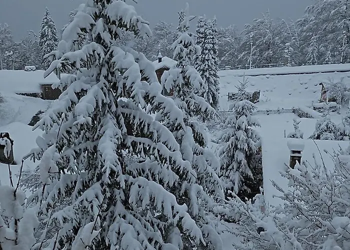 Montana Mit Bergblick *